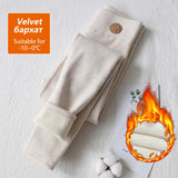 47647346557232|47647346590000|47647346622768|47647346655536