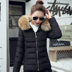 Slim cotton padded jacket and down jacket