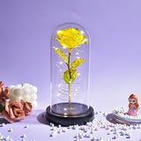 Christmas Gift Beauty and The Beast Preserved Roses In Glass Galaxy Rose Flower LED Light Artificial Flower Gift for Women Girls