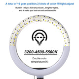 Photo Lights 26cm/10in Circle Ring Light Dimmable Luces LED Selfie USB Plug Lamp For Tiktok Video Studio Light With Tripod Stand