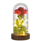 Christmas Gift Beauty and The Beast Preserved Roses In Glass Galaxy Rose Flower LED Light Artificial Flower Gift for Women Girls