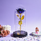 Christmas Gift Beauty and The Beast Preserved Roses In Glass Galaxy Rose Flower LED Light Artificial Flower Gift for Women Girls