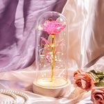 Christmas Gift Beauty and The Beast Preserved Roses In Glass Galaxy Rose Flower LED Light Artificial Flower Gift for Women Girls