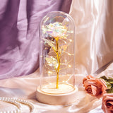 Christmas Gift Beauty and The Beast Preserved Roses In Glass Galaxy Rose Flower LED Light Artificial Flower Gift for Women Girls