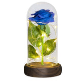 Christmas Gift Beauty and The Beast Preserved Roses In Glass Galaxy Rose Flower LED Light Artificial Flower Gift for Women Girls