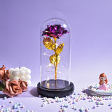 Christmas Gift Beauty and The Beast Preserved Roses In Glass Galaxy Rose Flower LED Light Artificial Flower Gift for Women Girls