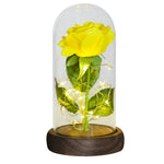 Christmas Gift Beauty and The Beast Preserved Roses In Glass Galaxy Rose Flower LED Light Artificial Flower Gift for Women Girls