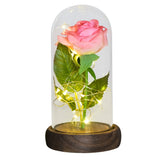 Christmas Gift Beauty and The Beast Preserved Roses In Glass Galaxy Rose Flower LED Light Artificial Flower Gift for Women Girls