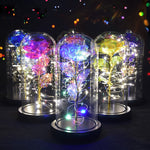 Christmas Gift Beauty and The Beast Preserved Roses In Glass Galaxy Rose Flower LED Light Artificial Flower Gift for Women Girls