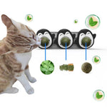 Natural Catnip Toys For Cats Healthy Cat Toys Promote Gastric For Kitten Edible Treating Cat Candy Licking Snacks Cat Supplies