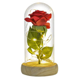 Christmas Gift Beauty and The Beast Preserved Roses In Glass Galaxy Rose Flower LED Light Artificial Flower Gift for Women Girls