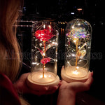 Christmas Gift Beauty and The Beast Preserved Roses In Glass Galaxy Rose Flower LED Light Artificial Flower Gift for Women Girls