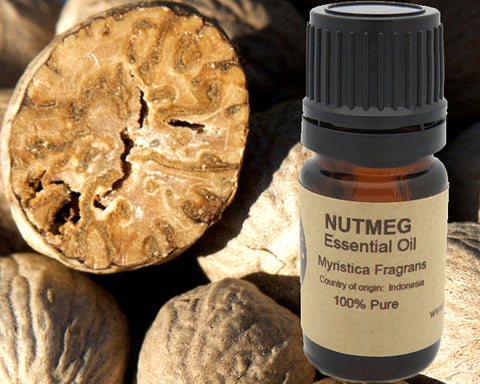 Nutmeg Essential Oil 5ml, 10 ml or 15 ml - shop.livefree.co.uk