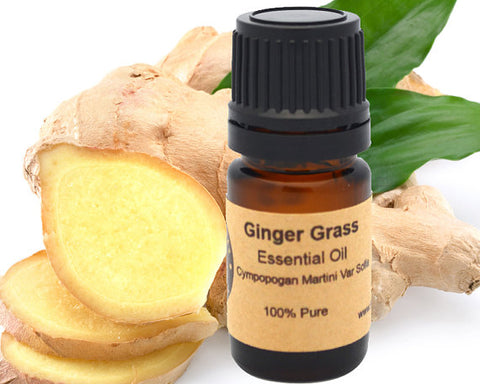 Ginger Essential Oil 5 ml, 10ml or 15 ml - shop.livefree.co.uk