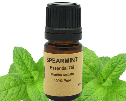 Spearmint Essential Oil 5 ml, 10 ml  or 15 ml - shop.livefree.co.uk