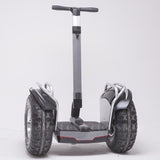 Daibot Off-Road Big Tires Hoverboard Scooter for Adults - shop.livefree.co.uk