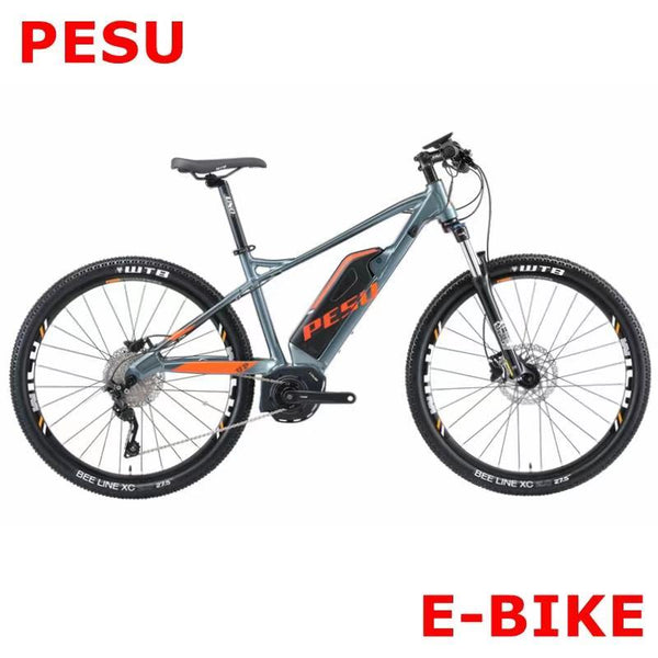 Pesu electric bike price on sale