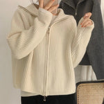Lazy Style Cardigan Women Knitted Tops 2021 Autumn Winter Solid Color Zipper Outwear Female Casual Loose Sweater Jaket