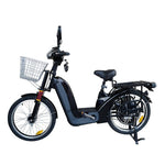 Heavy Loading Capacity E-Bike with Direct Drive System - shop.livefree.co.uk